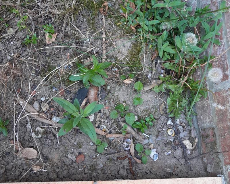 Accueil de la faune